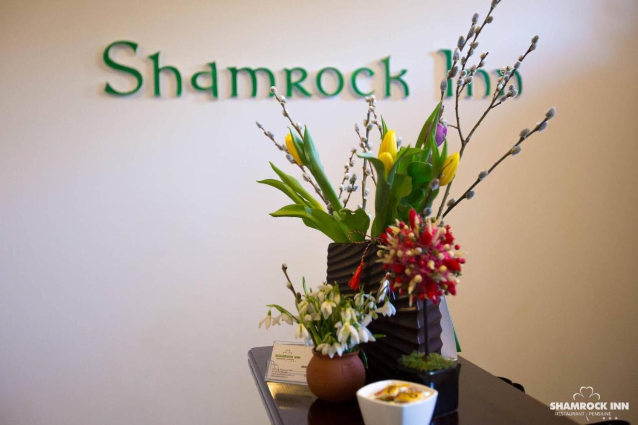Shamrock Inn Jassy Zewnętrze zdjęcie